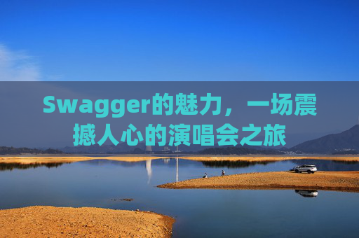 Swagger的魅力，一场震撼人心的演唱会之旅